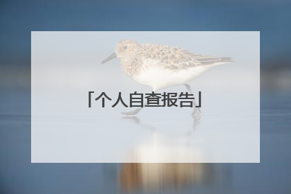 个人自查报告