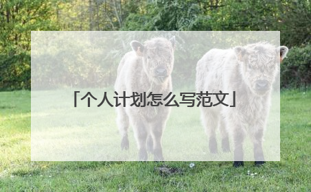 个人计划怎么写范文