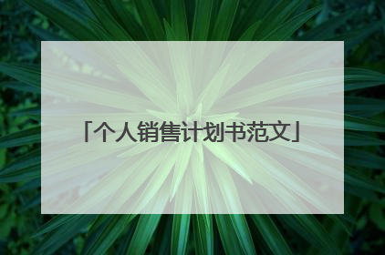 个人销售计划书范文