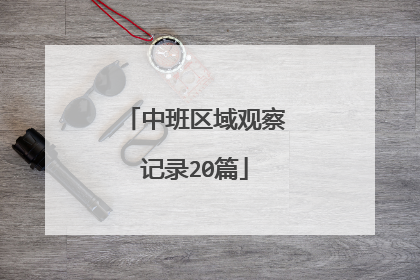 中班区域观察记录20篇
