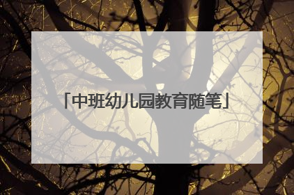 中班幼儿园教育随笔