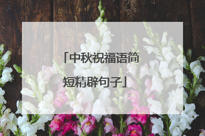 中秋祝福语简短精辟句子