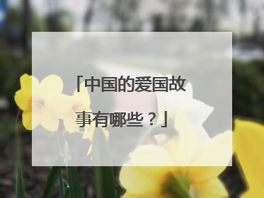 中国的爱国故事有哪些？