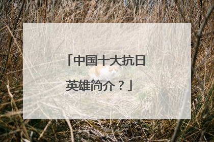 中国十大抗日英雄简介？