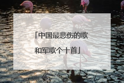 中国最悲伤的歌和军歌个十首