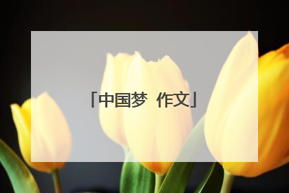 中国梦 作文