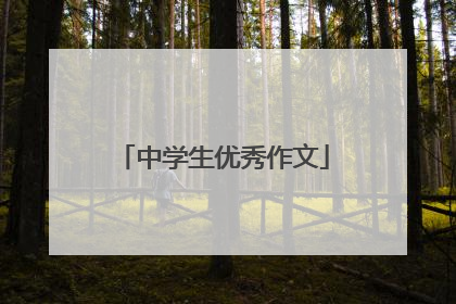 中学生优秀作文