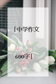 中学作文600字