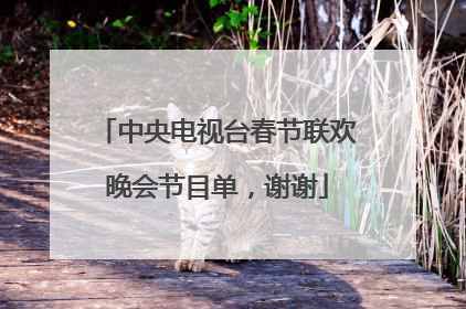 中央电视台春节联欢晚会节目单，谢谢