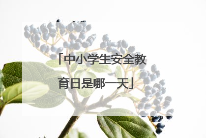 中小学生安全教育日是哪一天