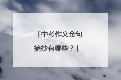 中考作文金句摘抄有哪些？
