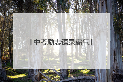 中考励志语录霸气