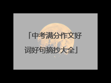 中考满分作文好词好句摘抄大全