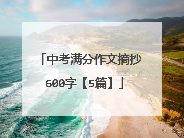 中考满分作文摘抄600字【5篇】