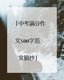 中考满分作文500字范文摘抄