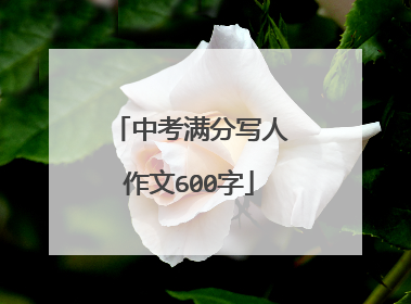 中考满分写人作文600字