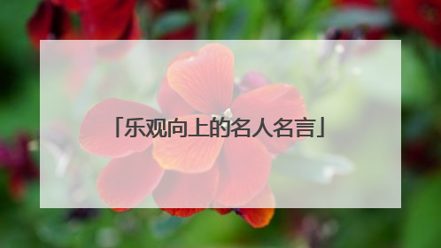 乐观向上的名人名言