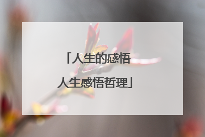 人生的感悟 人生感悟哲理