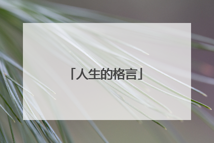 人生的格言