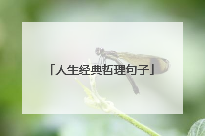 人生经典哲理句子