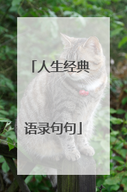 人生经典语录句句