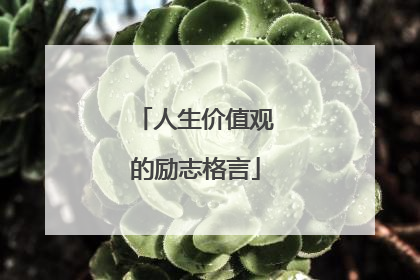 人生价值观的励志格言