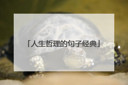人生哲理的句子经典