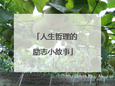 人生哲理的励志小故事