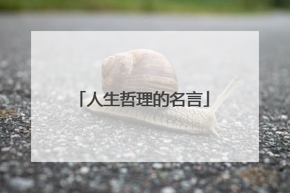 人生哲理的名言