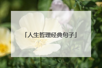 人生哲理经典句子