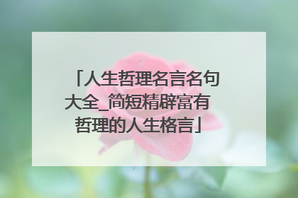 人生哲理名言名句大全_简短精辟富有哲理的人生格言