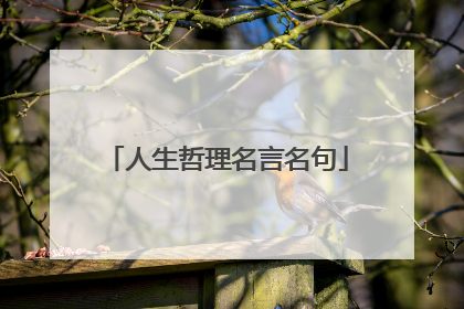 人生哲理名言名句