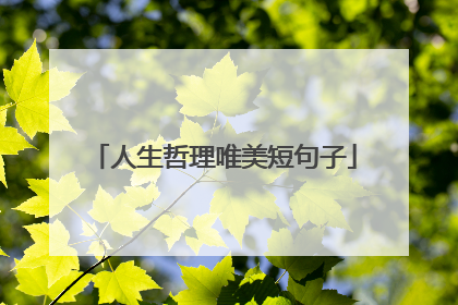 人生哲理唯美短句子
