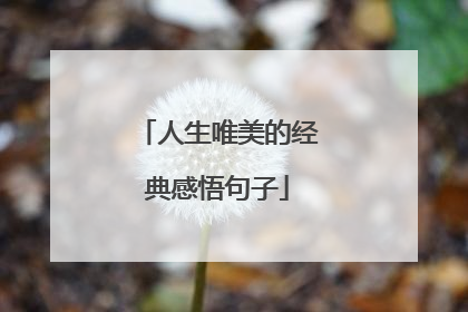 人生唯美的经典感悟句子