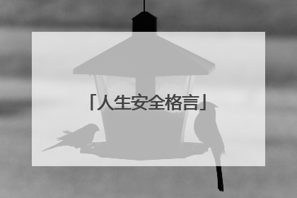 人生安全格言
