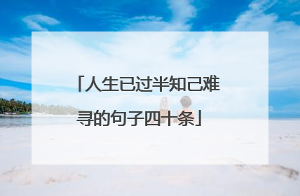 人生已过半知己难寻的句子四十条