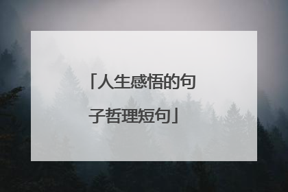 人生感悟的句子哲理短句