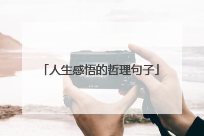 人生感悟的哲理句子