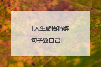 人生感悟精辟句子致自己