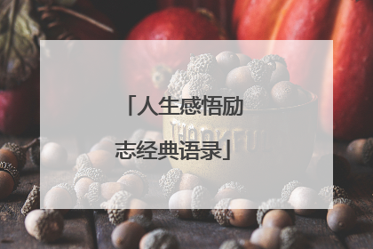 人生感悟励志经典语录