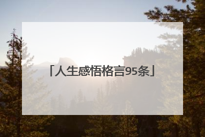 人生感悟格言95条