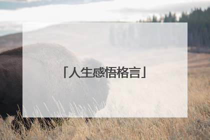 人生感悟格言