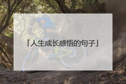 人生成长感悟的句子