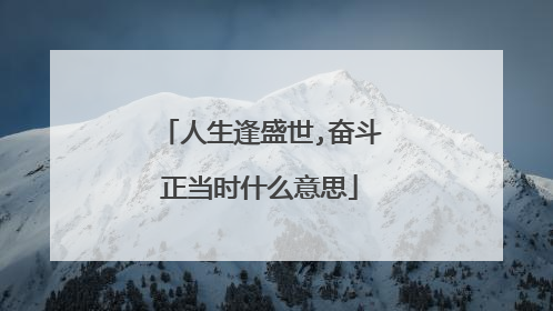 人生逢盛世,奋斗正当时什么意思