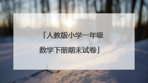人教版小学一年级数学下册期末试卷