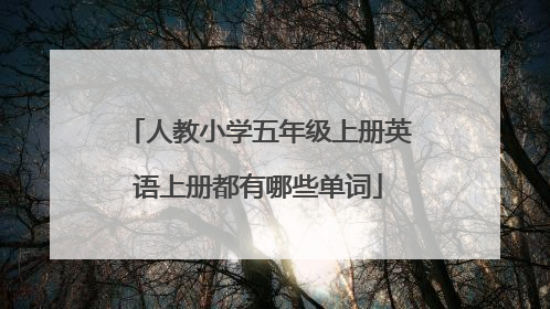 人教小学五年级上册英语上册都有哪些单词