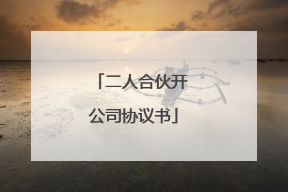 二人合伙开公司协议书