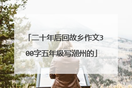 二十年后回故乡作文300字五年级写潮州的