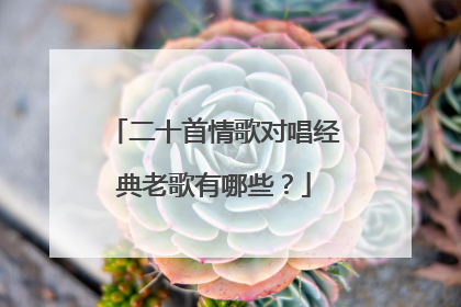 二十首情歌对唱经典老歌有哪些？