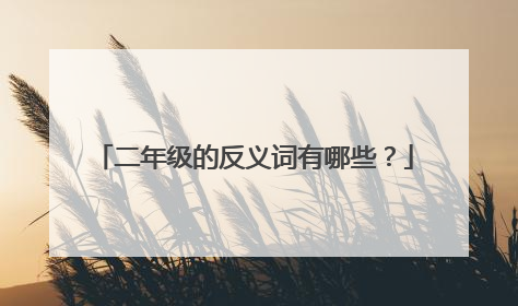 二年级的反义词有哪些？